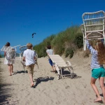 Lucy dining armchair - 3