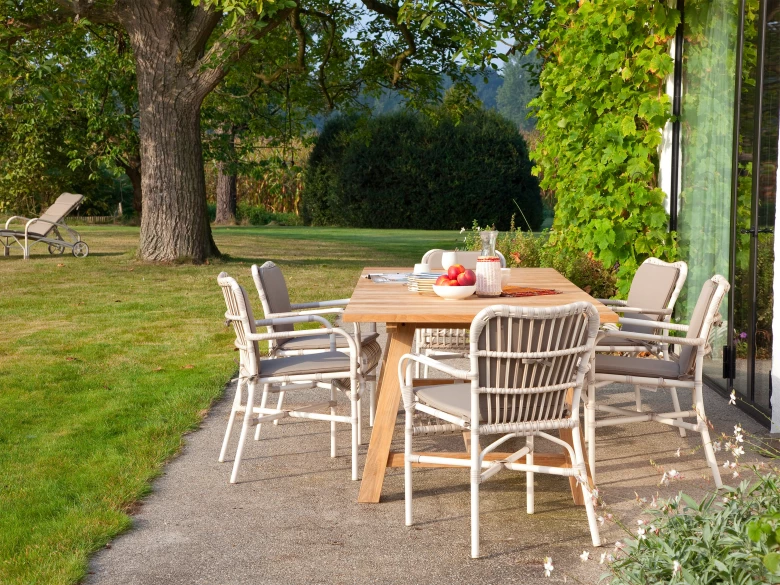 Lucy dining armchair