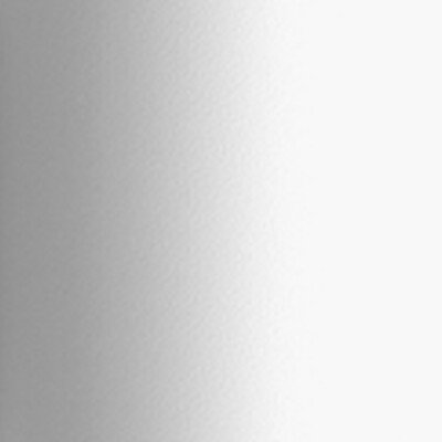 5001 Blanc