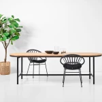 Roxanne dining chair - 7