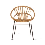Roxanne dining chair - 1