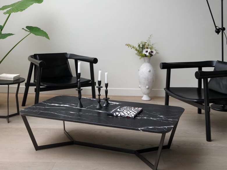 Fauteuil en cuir Altay