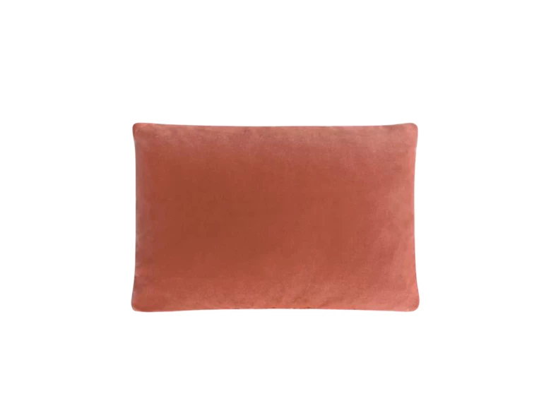 Cushion 3013